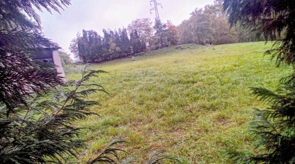 Terrain 3245 m² - Offre immobilière - Arthur Loyd