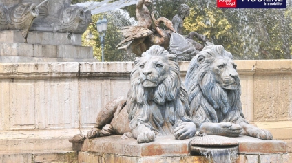 LOCAL CENTRE VILLE - Offre immobilière - Arthur Loyd