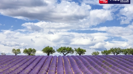 Locaux commerciaux neuf à louer bord de départementale Salon de Provence - Offre immobilière - Arthur Loyd