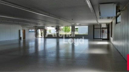 SELLES SUR CHER - LOCATION LOCAL D'ACTIVITÉ OU COMMERCIAL DE 1 086 M² - ZONE D'ACTIVITÉS - Offre immobilière - Arthur Loyd