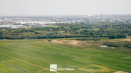 Terrain à vendre libre de constructeur à Chasselay proche A6 et gare - Offre immobilière - Arthur Loyd