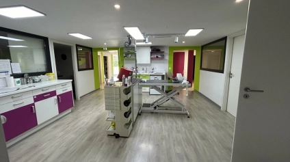BUREAUX à LOUER de 448.35 m² - Offre immobilière - Arthur Loyd