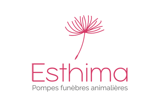 Logo Esthima